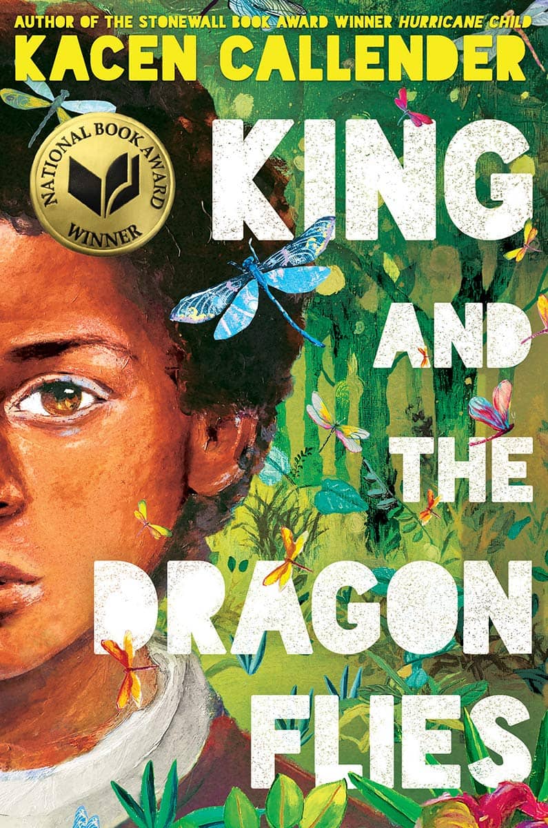 King and the Dragonflies book cover