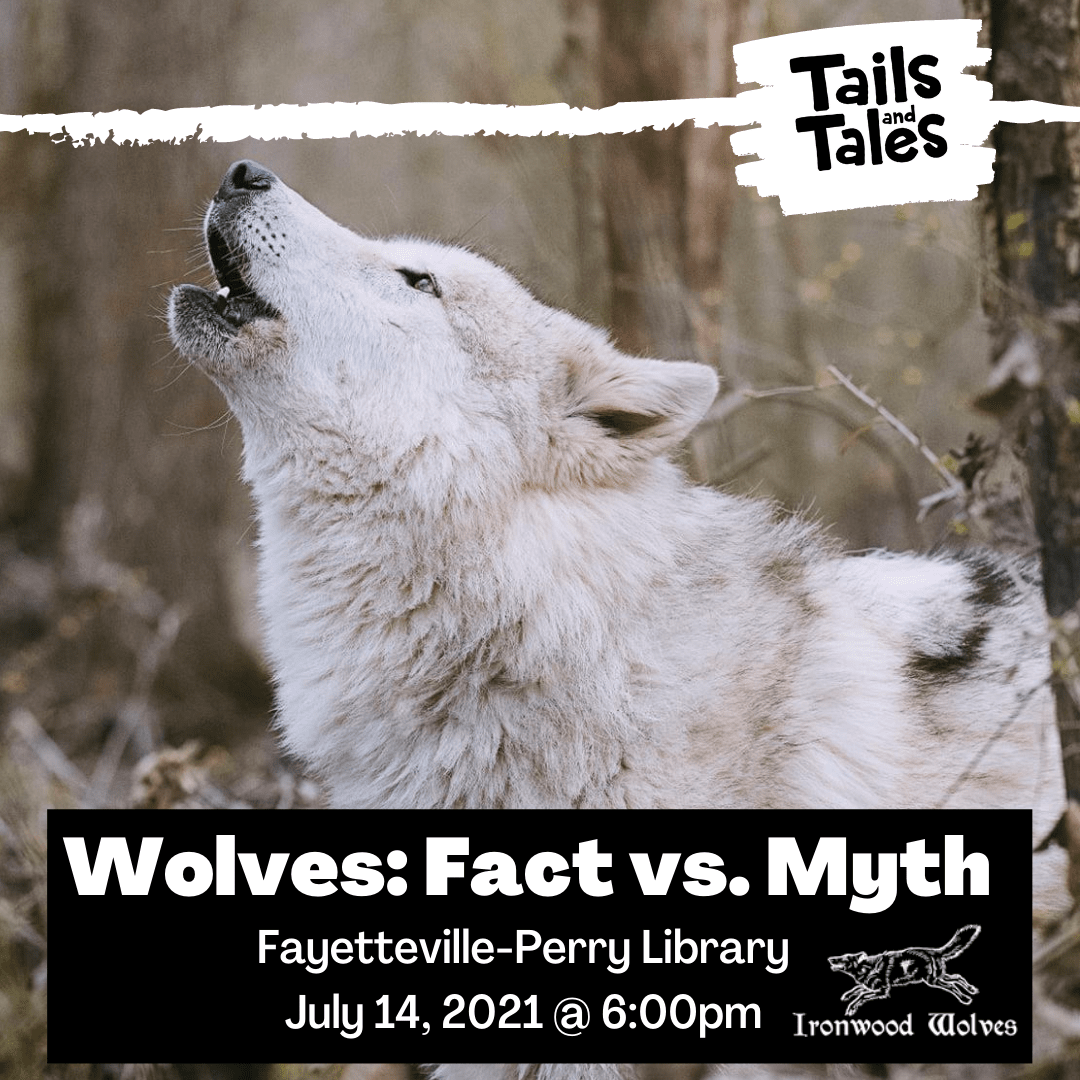 Picture of wolf howling in the woods as background with white Tails and Tales logo. White text that reads "Wolves: Facts vs. Myth Fayetteville-Perry Library July 14, 2021 at 6pm". Small White Ironwood Wolves logo 