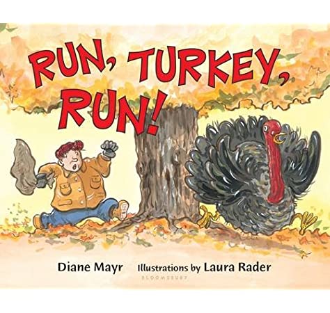 Run Turkey Run book cover